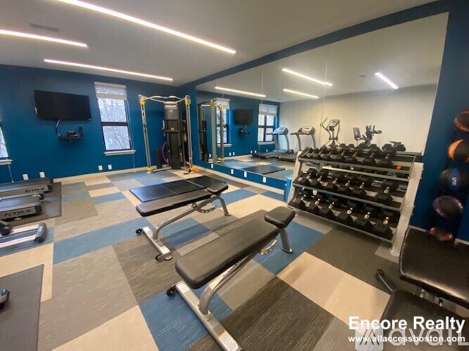 A gym with a variety of equipment including a bench press, a squat rack, and a treadmill.