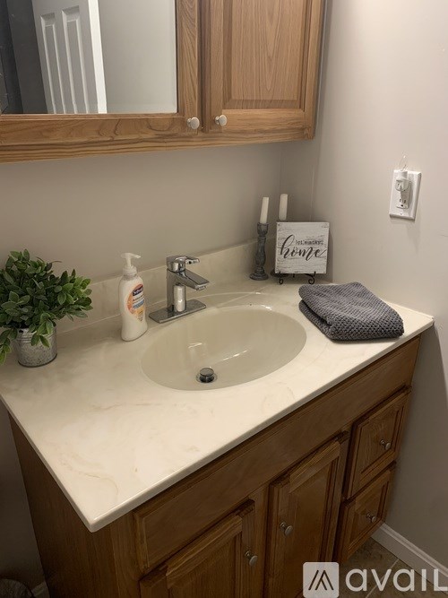 A bathroom sink with a towel and a plant on the counter.