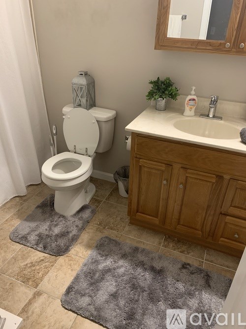 A bathroom with a toilet, sink, and rug.