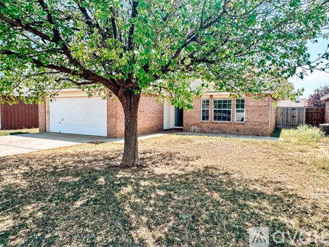 A tree with green leaves stands in a grassy front yard.
