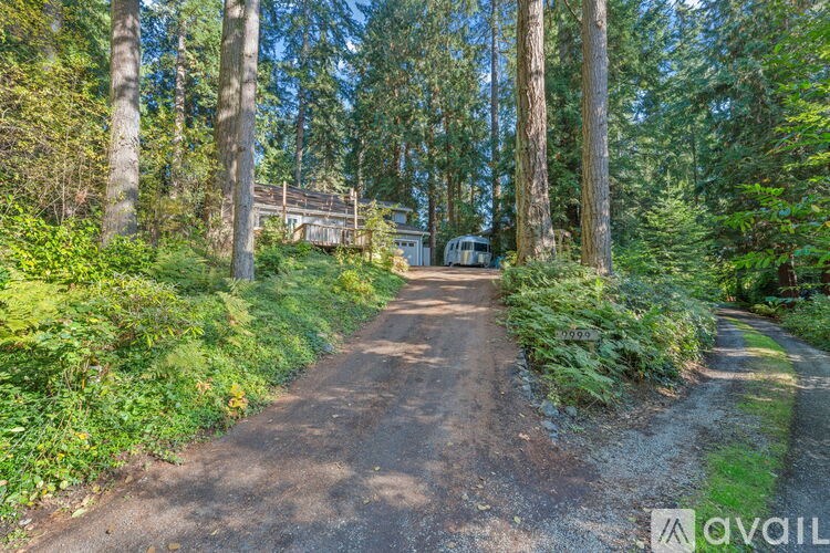 A gravel road leads through a wooded area with a house in the distance.