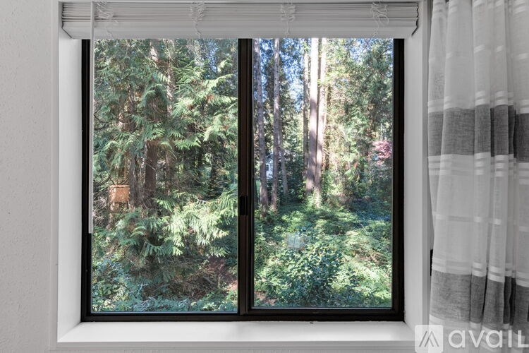 A window with a view of a forest.