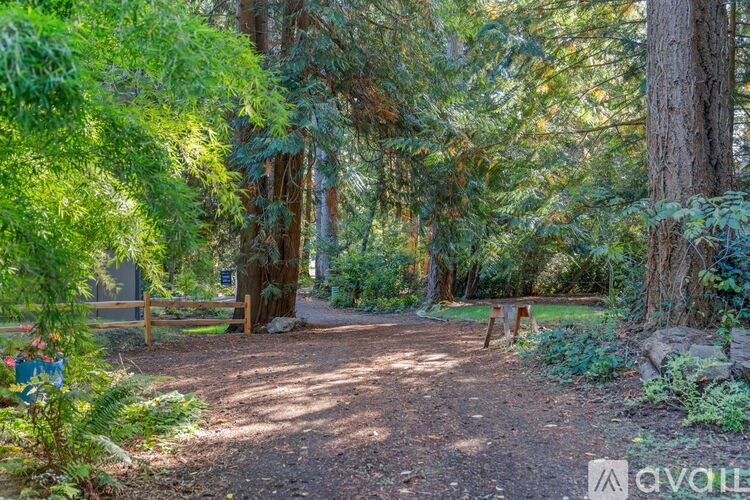 A dirt path leads through a wooded area.
