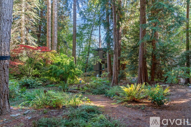 A forest scene with a house in the background.