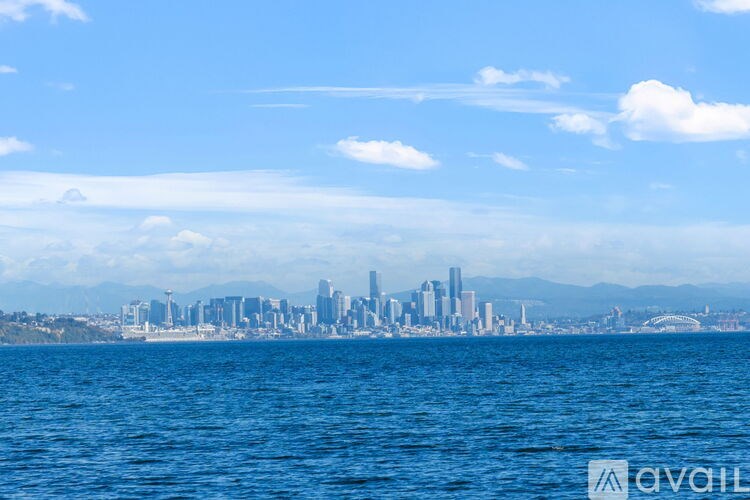 A city skyline is visible from the water.