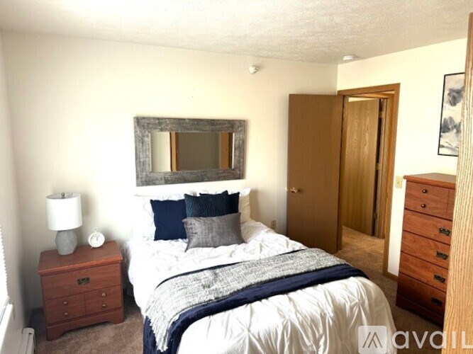 A bedroom with a bed, dresser, and mirror.