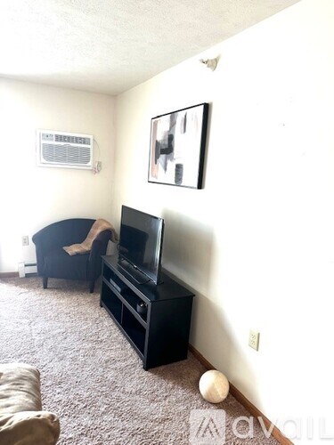 A living room with a black couch and a television.