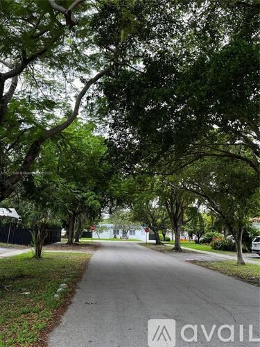 A tree-lined street with a car parked on the side.