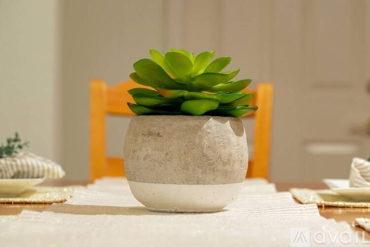 A succulent plant sits in a white pot on a table.