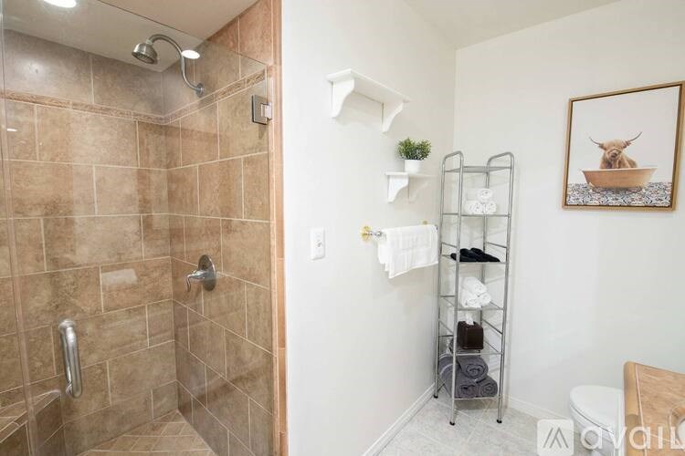 A bathroom with a walk-in shower and a towel rack with towels and a plant.