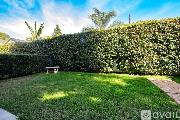 A backyard with a bench and a hedge.