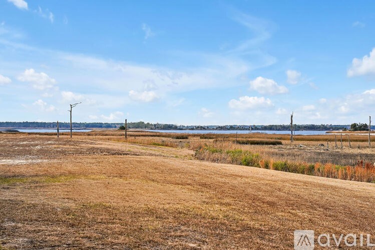 A field with dry grass and a clear blue sky.