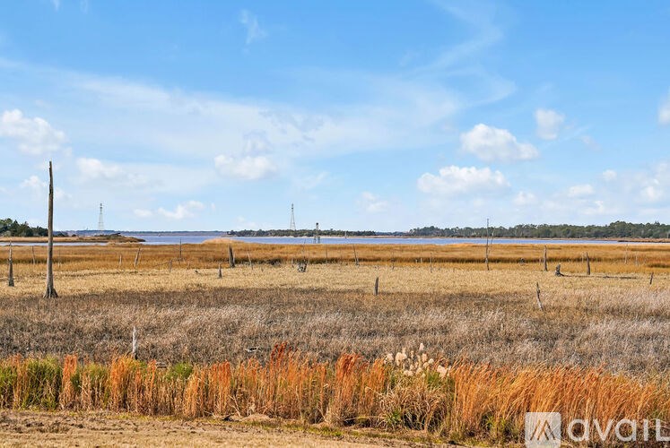 A field with dry grass and a few scattered bushes under a blue sky with clouds.