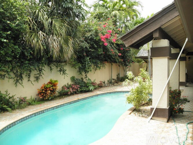 A small pool surrounded by green plants and trees.