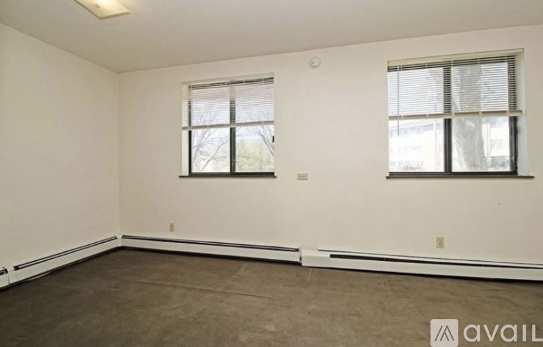A room with two windows and a carpeted floor.