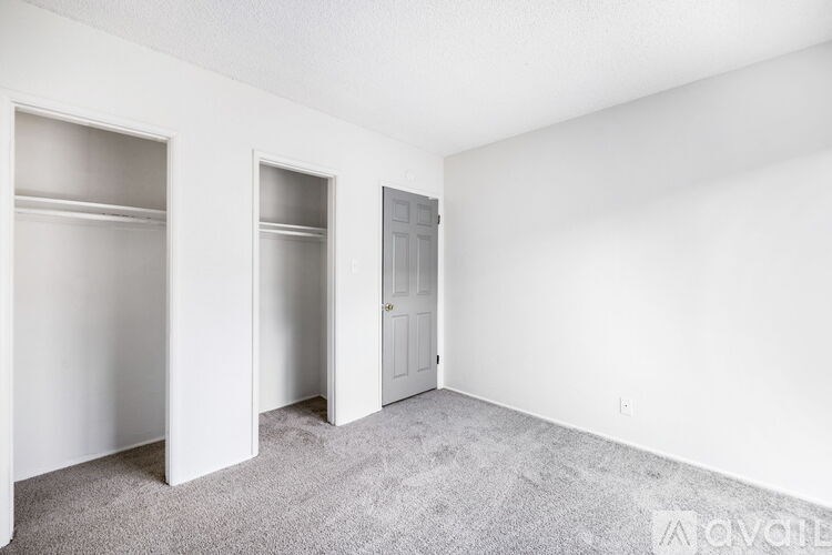 A room with a door and two closets.