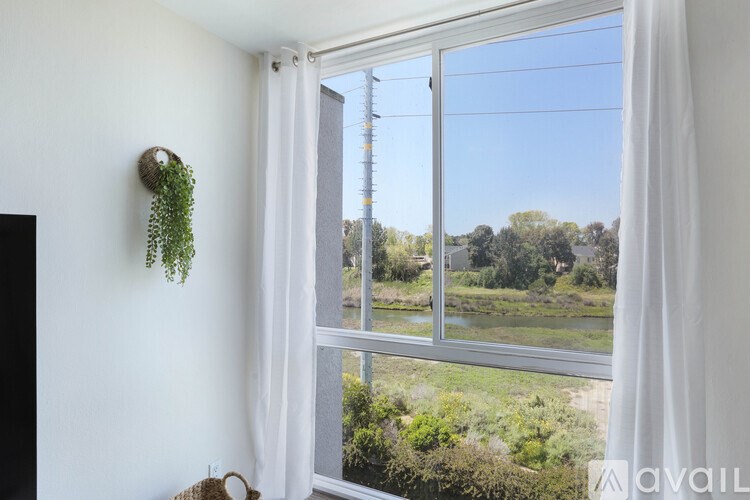 A white wall with a plant hanging on it and a window with a view of the outside.