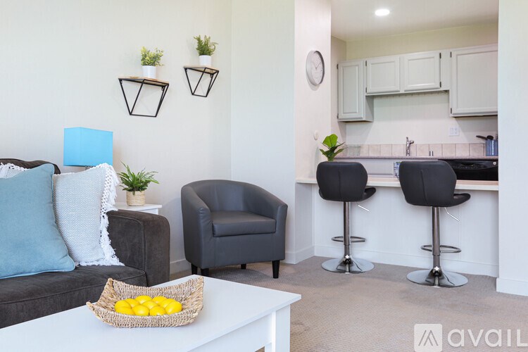 A living room with a grey couch, a black armchair, a white coffee table with a basket of lemons on it, and a kitchen area with white cabinets and a black countertop.