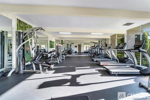 A gym with treadmills, elliptical machines, and other cardio equipment.
