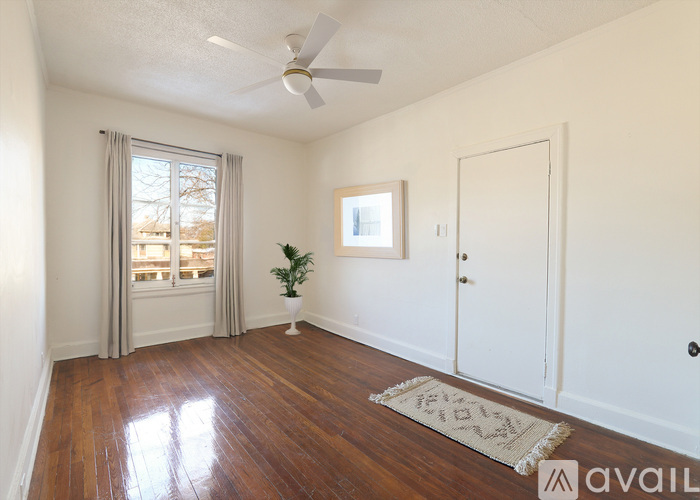 A room with a ceiling fan, a rug, and a plant.