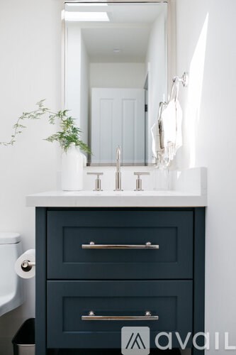 A bathroom vanity with a mirror and a plant.