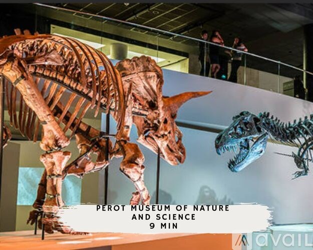 A dinosaur skeleton is on display at the Perot Museum of Nature and Science.