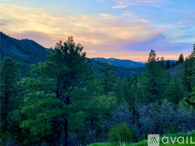 A forest of trees with a mountain range in the background.