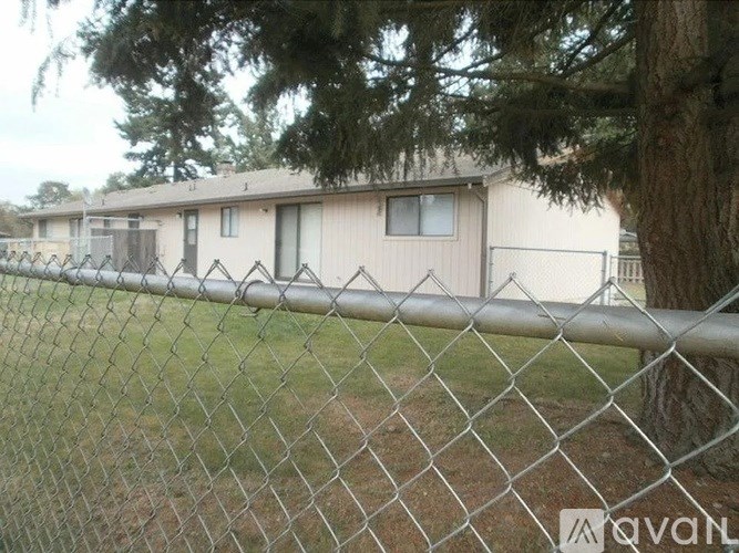A chain link fence in front of a building with a tree behind it.