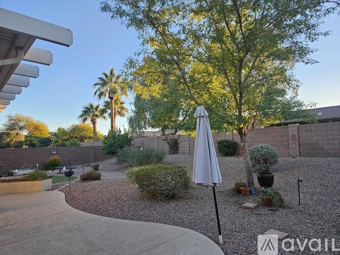 A patio area with a white umbrella and a tree in the background.
