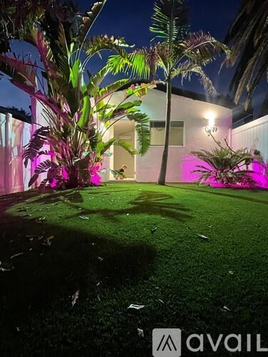 A backyard with a lawn and a palm tree.
