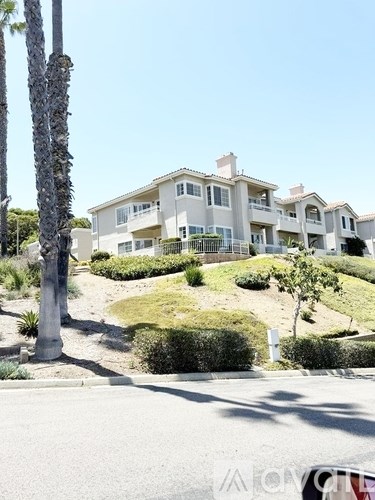 A row of houses with a tree in front of them.