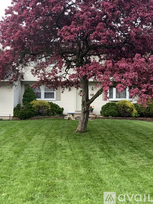 A tree with pink flowers in front of a white house.