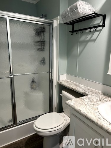A white toilet sits next to a glass shower door in a bathroom.