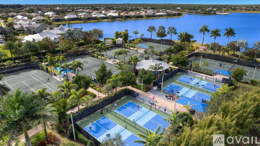 A tennis court surrounded by palm trees and a body of water.