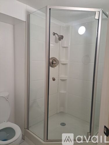 A glass shower stall with a door and a toilet in the background.