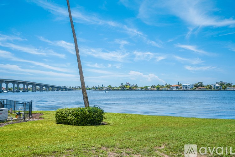 A palm tree stands in a grassy area in front of a bridge.