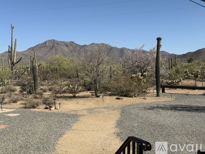 A desert landscape with a mountain in the background and a cactus in the foreground.
