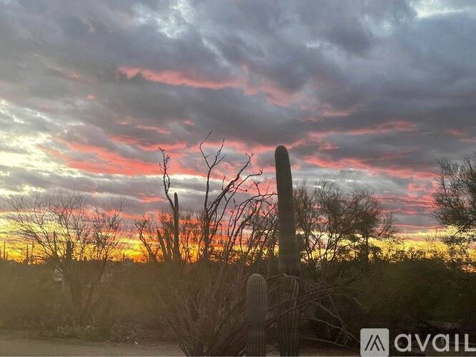 A cactus stands in the foreground with a cloudy sky at sunset.