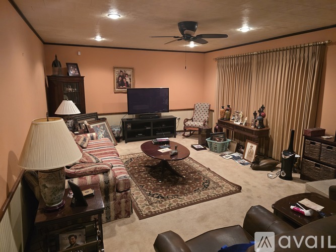 A living room with a sofa, a coffee table, a television, and a ceiling fan.