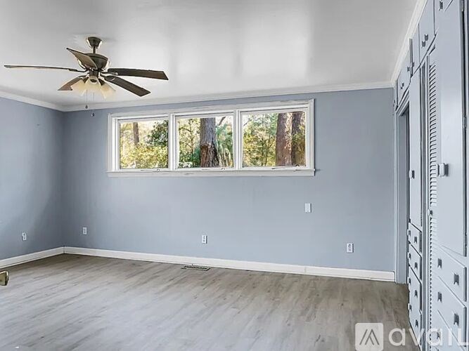 A room with a ceiling fan and a window showing trees outside.