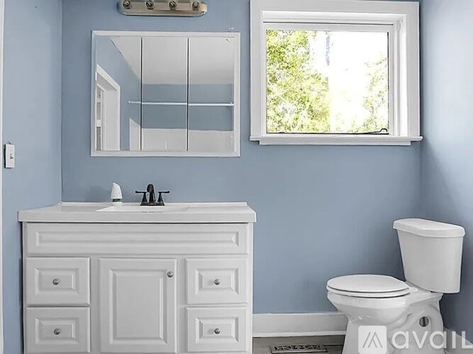 A white bathroom vanity with a mirror above it and a white toilet to the right.