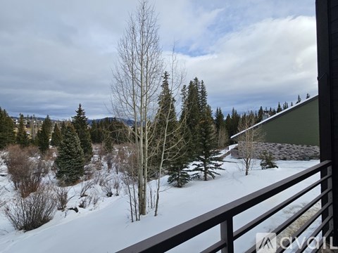 A snowy landscape with trees and a mountain in the distance.