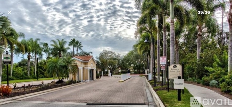 A street view of a residential area with a house and palm trees.