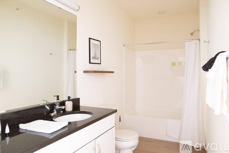 A bathroom with a white toilet and a black counter top.