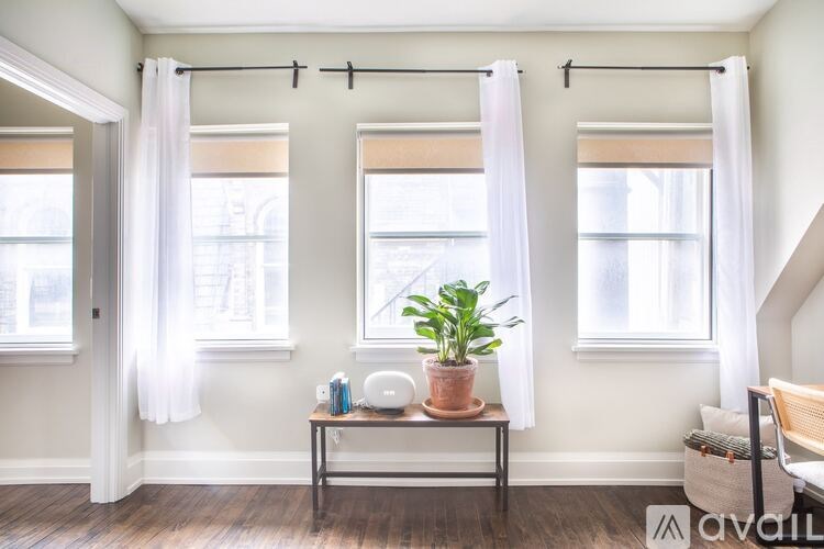 A room with a table, a potted plant, and a window with curtains.