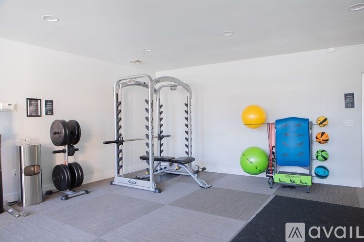 A gym room with a squat rack, weights, and exercise balls.