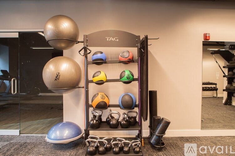 A gym equipment rack with various weights and a mirror in the background.