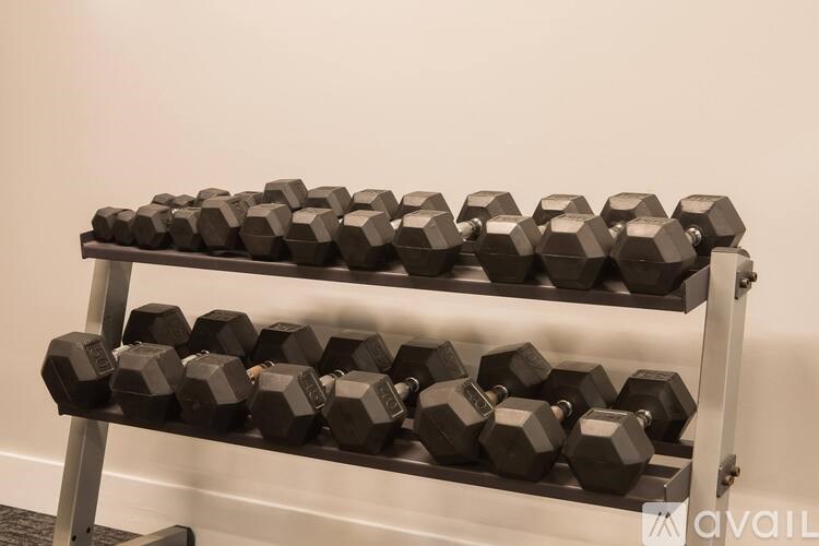 A rack of black dumbbells is displayed.
