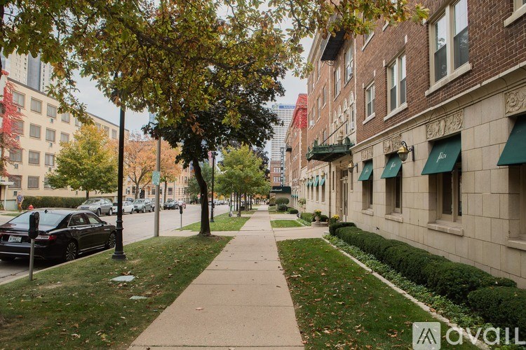 A tree-lined sidewalk in front of a row of buildings.
