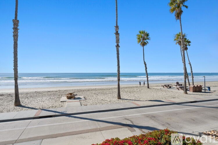 A beach with palm trees and a clear blue sky.